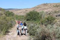 Encuentro en Tejada 2016.