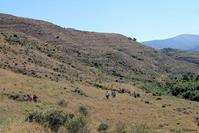 Encuentro en Tejada 2016.