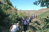 Encuentro en Tejada 2016.