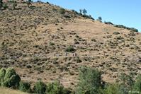 Encuentro en Tejada 2016.