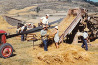 Foto de gente en la era con 'La máquina'