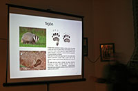 Pantalla con presentación