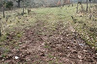 Vista del monte con el primer molde