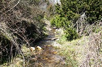 Paisaje con riachuelo