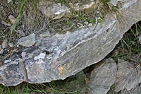 Huella de ondulitas en la roca