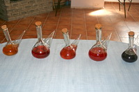 Porrones con los zurracapotes presentados a concurso.