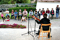 Guitarrista y público al fondo.