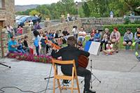 Guitarrista y público.