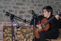 Artista con su guitarra.