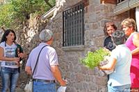 Cobro de la limosna del Santo.