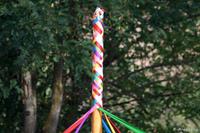 Parte superior árbol.