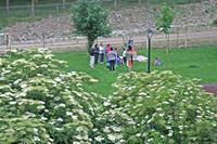 Participantes en los juegos