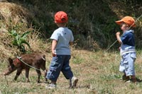 Dos niños corriendo tras un jabato