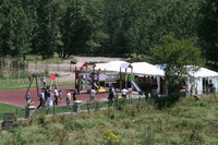 Vamos a comer a las carpas