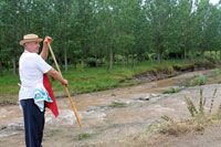 Cocinero imitando a un gondolero