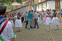 Danzadores realizando la danza del árbol