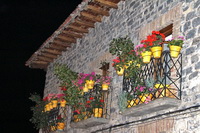 Ramos en los balcones