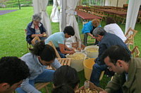 Voluntarios preparando las patatas para la caldereta