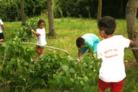 Varios mozos recogiendo los ramos