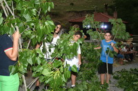 Mozos preparados para enramar