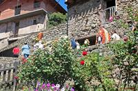 Primera salida del año de la iglesia