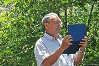 Te pillé. Santa Justa 2016.