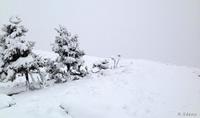 Imagen de Jalón 12, nevado