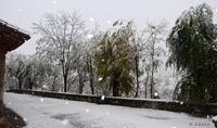 Imagen de Jalón 23, nevado