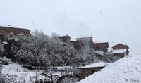 Imagen de Jalón 37, nevado